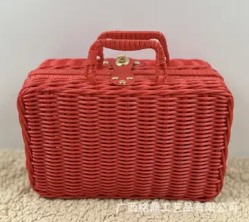 Two-Tone Rectangular Carry Case — Detail and finish view 10