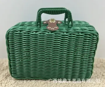 Two-Tone Rectangular Carry Case — Detail and finish view 12