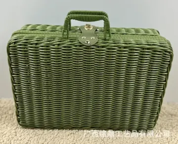Two-Tone Rectangular Carry Case — Detail and finish view 13