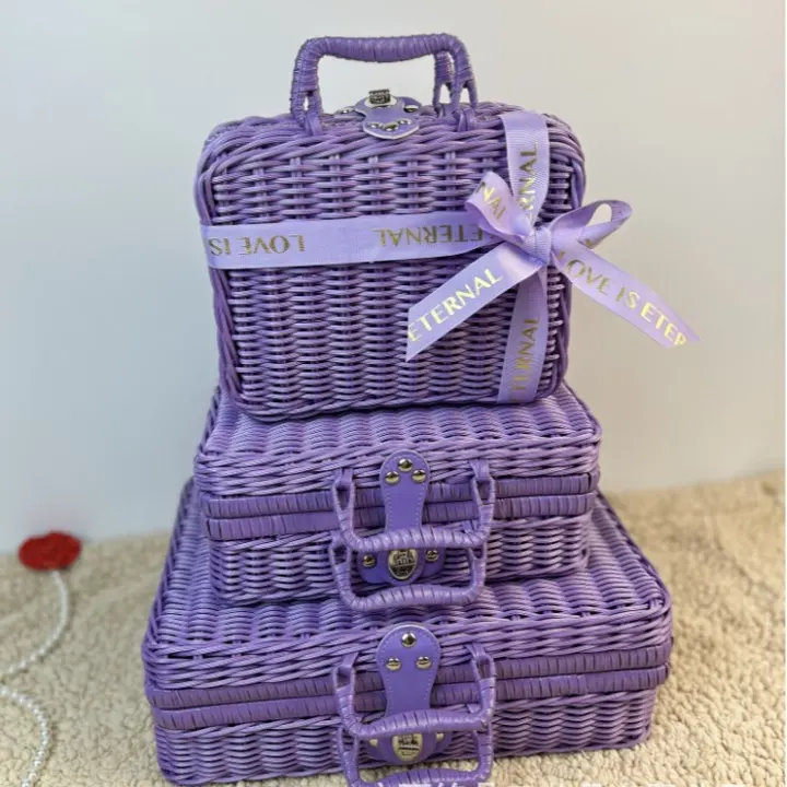 Purple Rounded Mini Carry Case — Compact purple carry case with rounded corners, a flat lid, short handle and front clasp; coordinated colors are also shown.