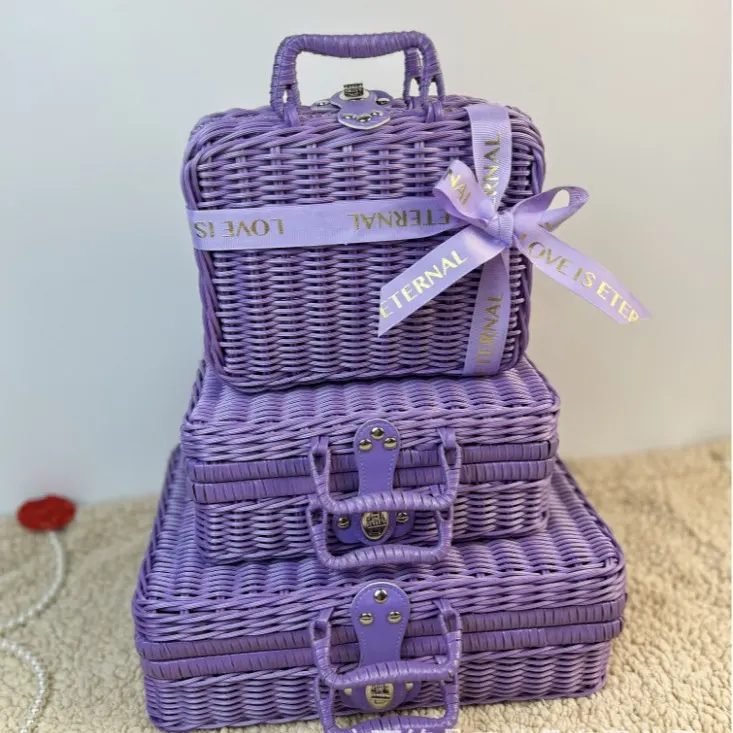 Purple Rounded Mini Carry Case — Compact purple carry case with rounded corners, a flat lid, short handle and front clasp; coordinated colors are also shown.