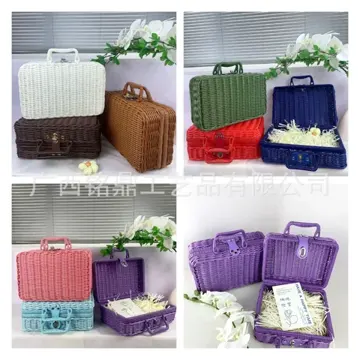 Two-Tone Rectangular Carry Case — Product view 02