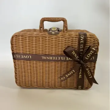 Lined Ribbon-Trimmed Carry Case — Product view 02