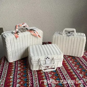 Flat-Lid Woven Carry Case Set — Product view 02