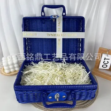 Two-Tone Rectangular Carry Case — Product view 04