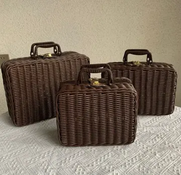 Dark Ribbon-Trimmed Carry Case I — Product view 05